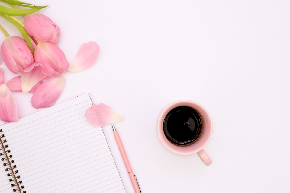 Carnet vierge et stylo pour construire un planning de révision efficace